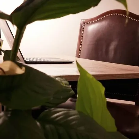 شقة Eternal Flame Center *